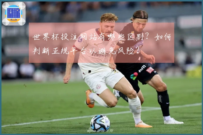 世界杯投注网站有哪些区别？如何判断正规平台以避免风险？