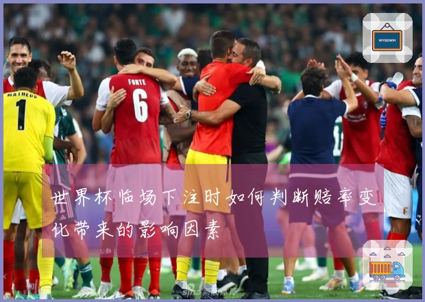 世界杯临场下注时如何判断赔率变化带来的影响因素