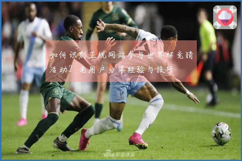如何识别正规网站参与世界杯竞猜活动？老用户分享经验与技巧